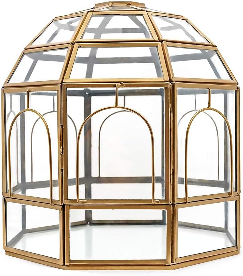 Large Glass Terrarium 10 x 9 x 9 Black P164344