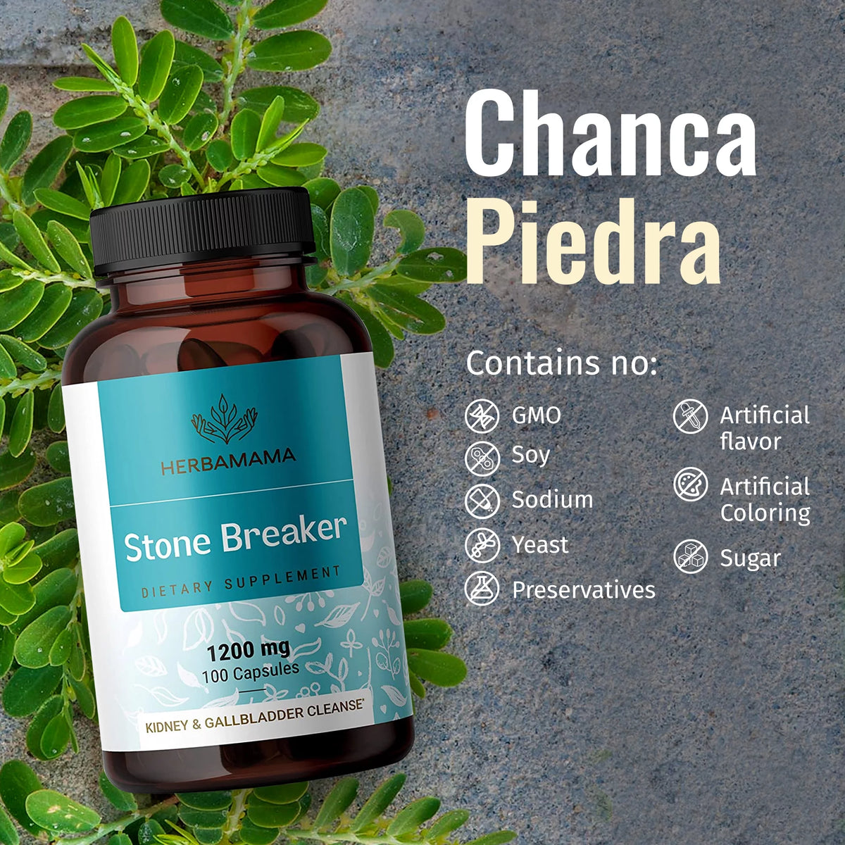 100 Capsules Organic Chanca Piedra G706