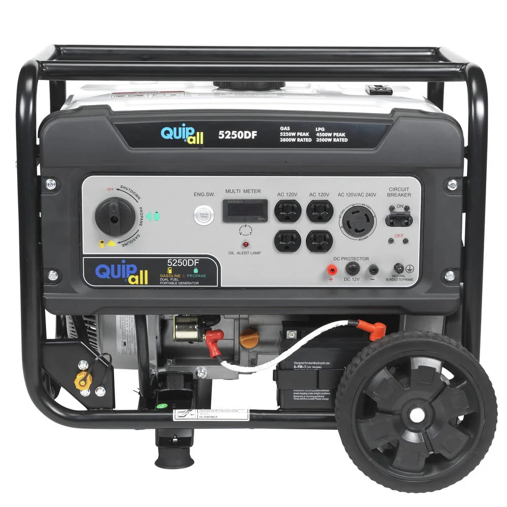 Portable Dual Fuel Gas Generator with Electric Start N39211