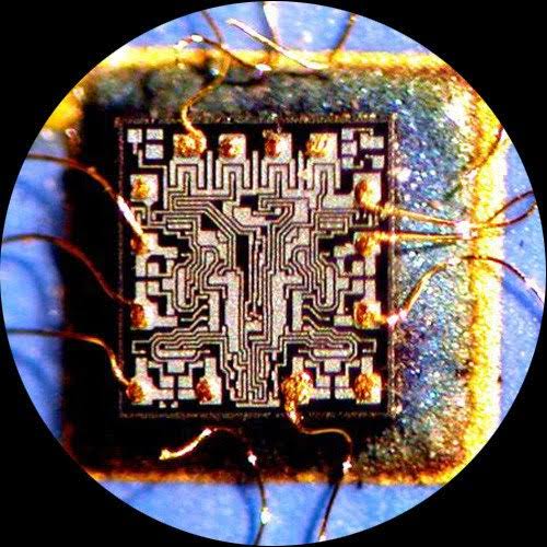 Binocular Stereo Zoom Microscope B564