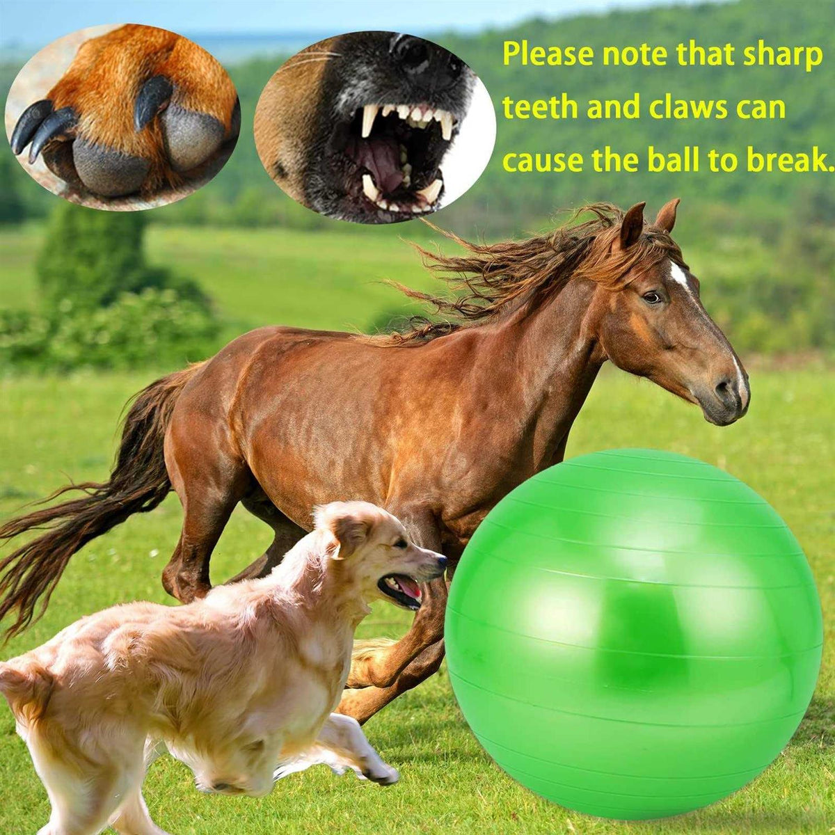 30 Inch Anti-Burst Horse Herding Ball with Pump S432849