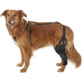 Dog Knee Brace Wrap Metal Hinged Flexible Support U419724