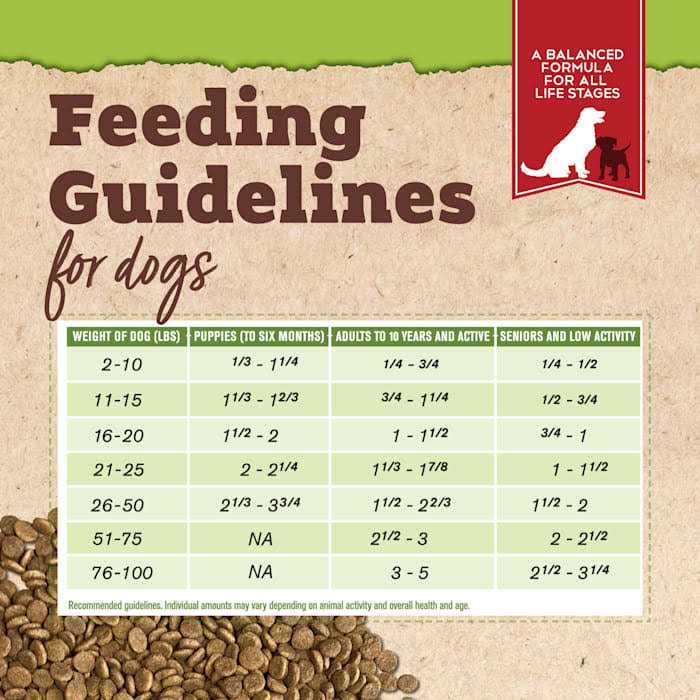 Organic Chicken & Liver Recipe Dry Dog Food D202850
