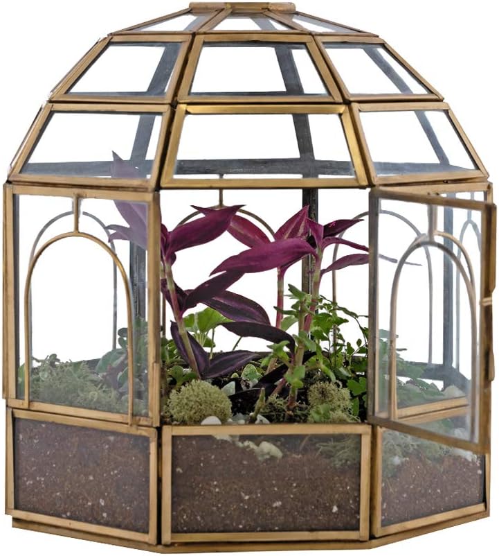 Large Glass Terrarium 10 x 9 x 9 Black P164344
