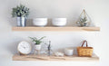 Hardwood Floating Accent Shelves Set of 2 T3043