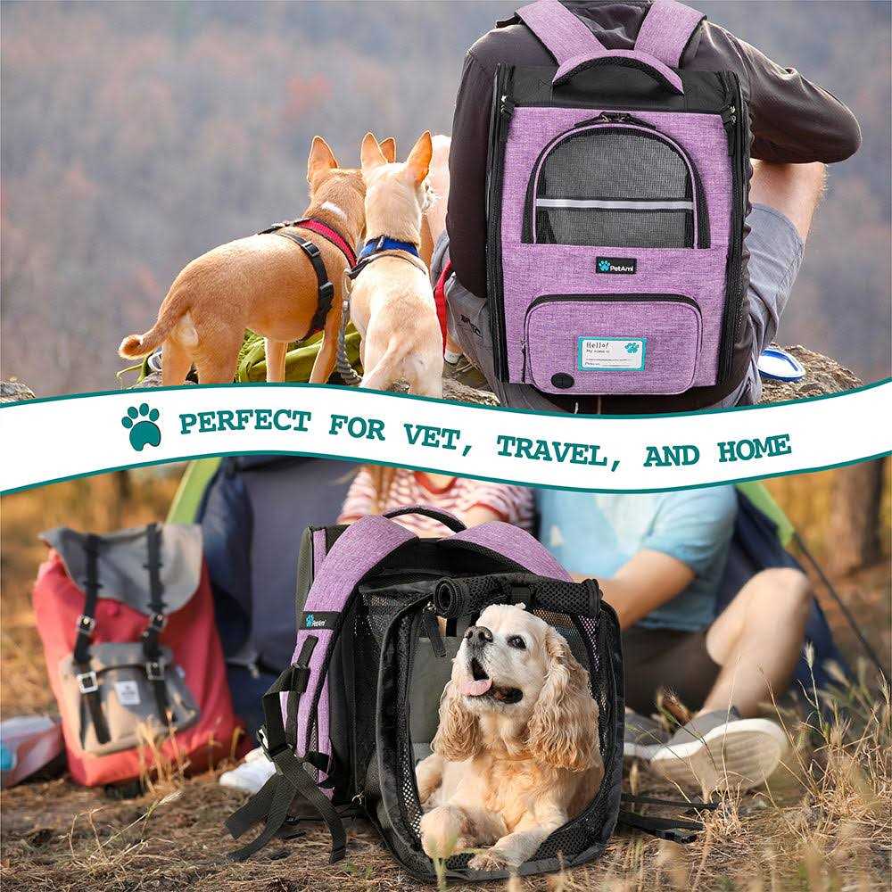 Expandable Pet Carrier Backpack Q672197