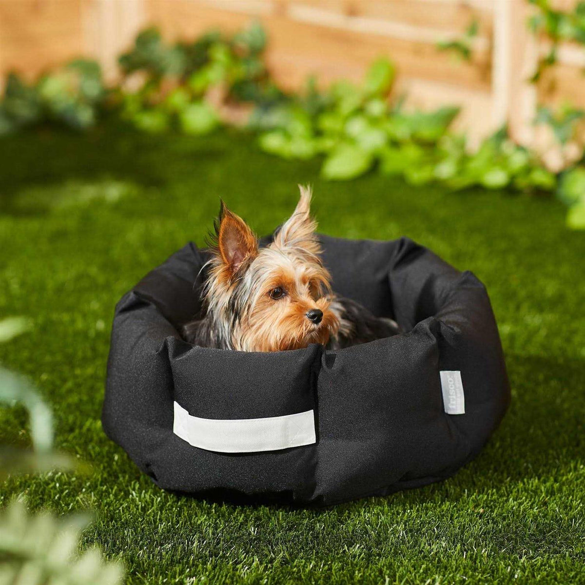 Indoor/Outdoor Bolster Cat & Dog Bed S25661