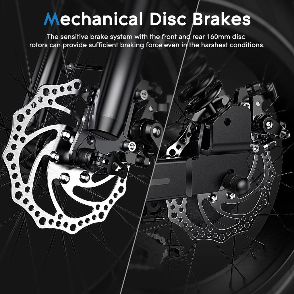 20 x 4 Fat Tire 750W Electric Bike R533