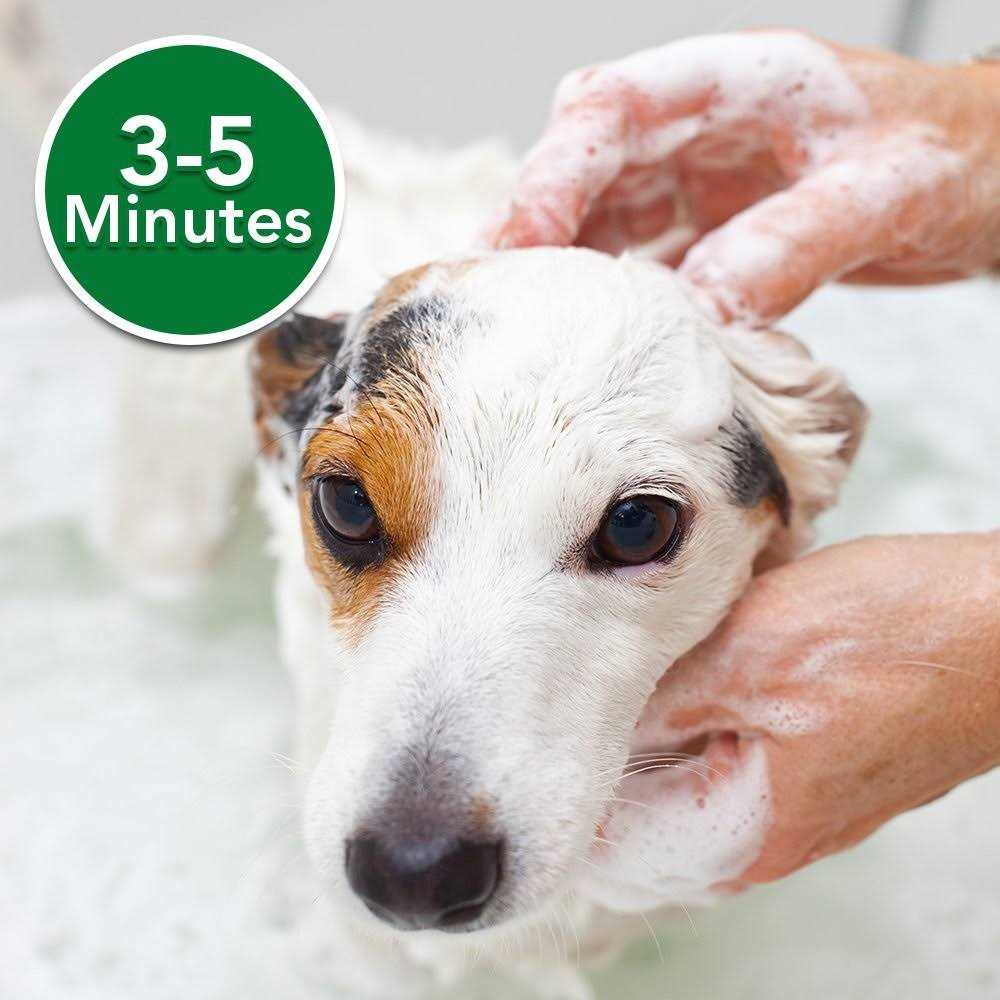 Oatmeal Medicated Dog Shampoo H817618