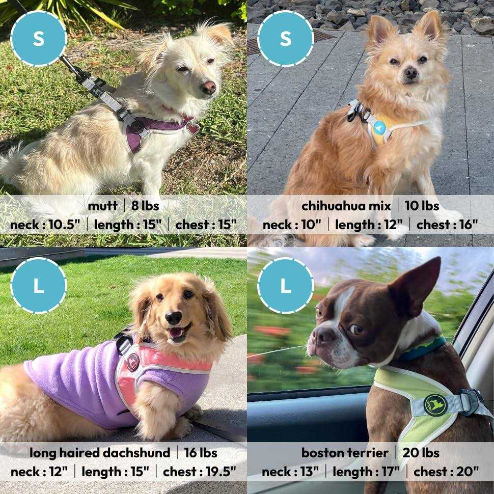 Step-In Dog Harness Y416048