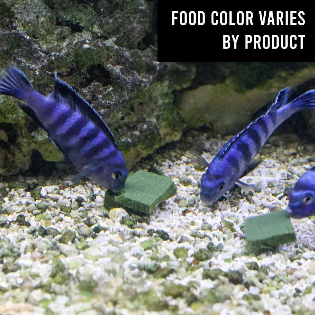 Goldfish Koi Gel Food G7349