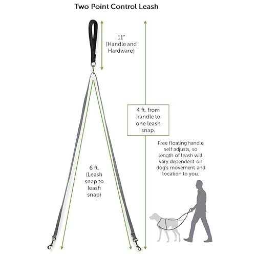 Two Point Control Dog Leash U3856