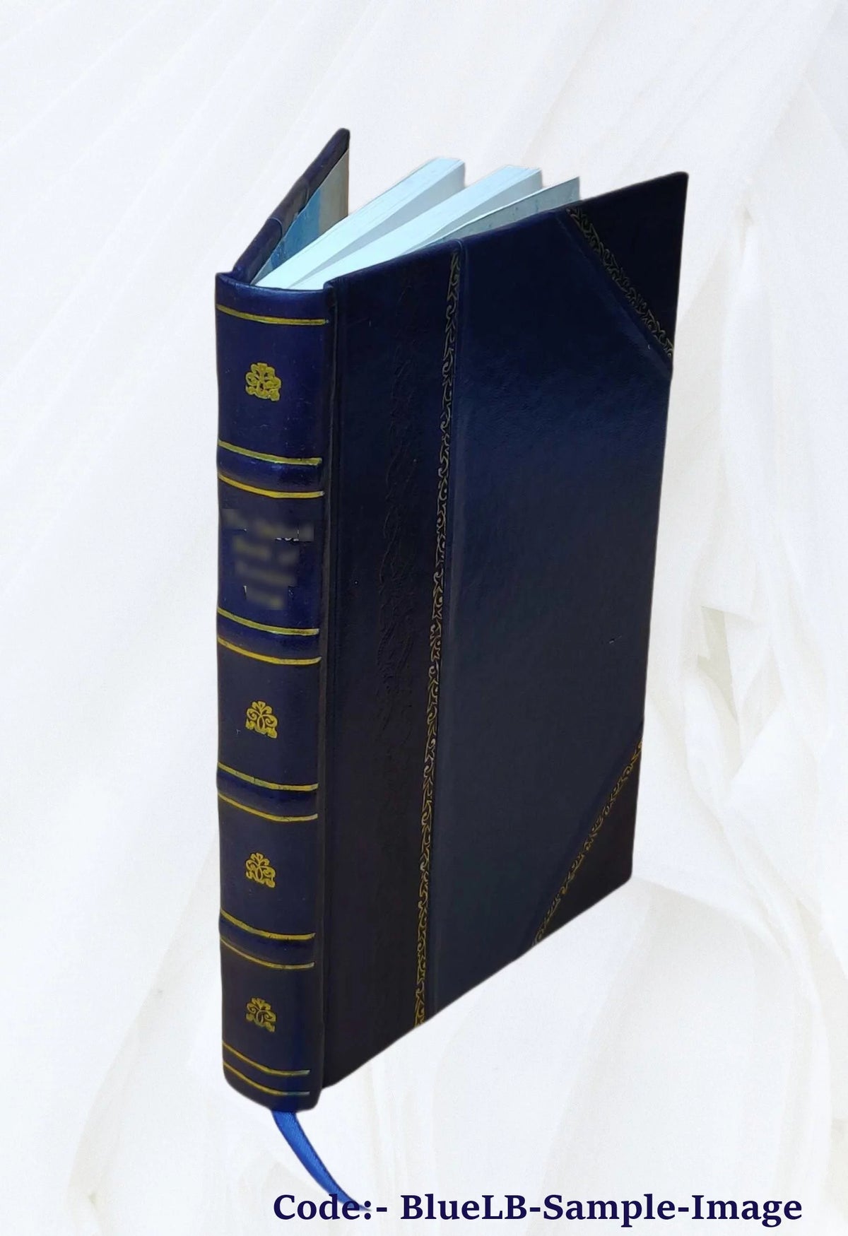 Electric Appliances Law Treatise L6862
