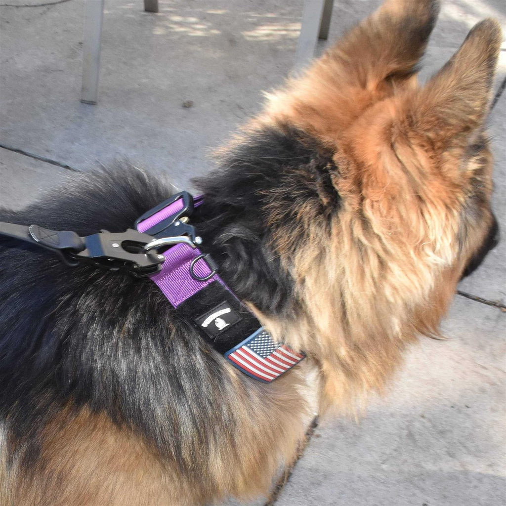 Heavy Duty Dog Leash Quick Release Locking Carabiner Q3597