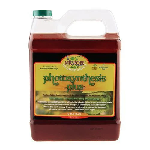 Photosynthesis Plus Quart Z113840