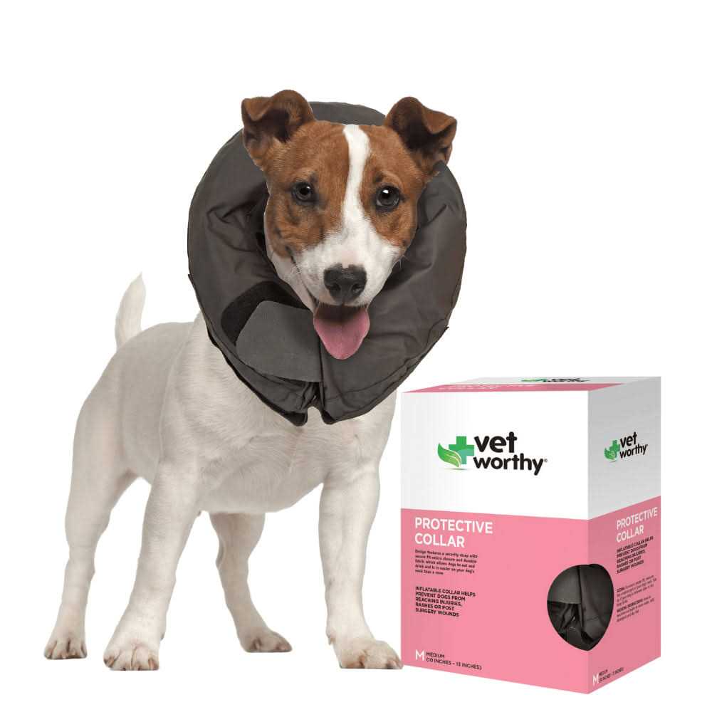 Inflatable Protective Dog Collar J4890