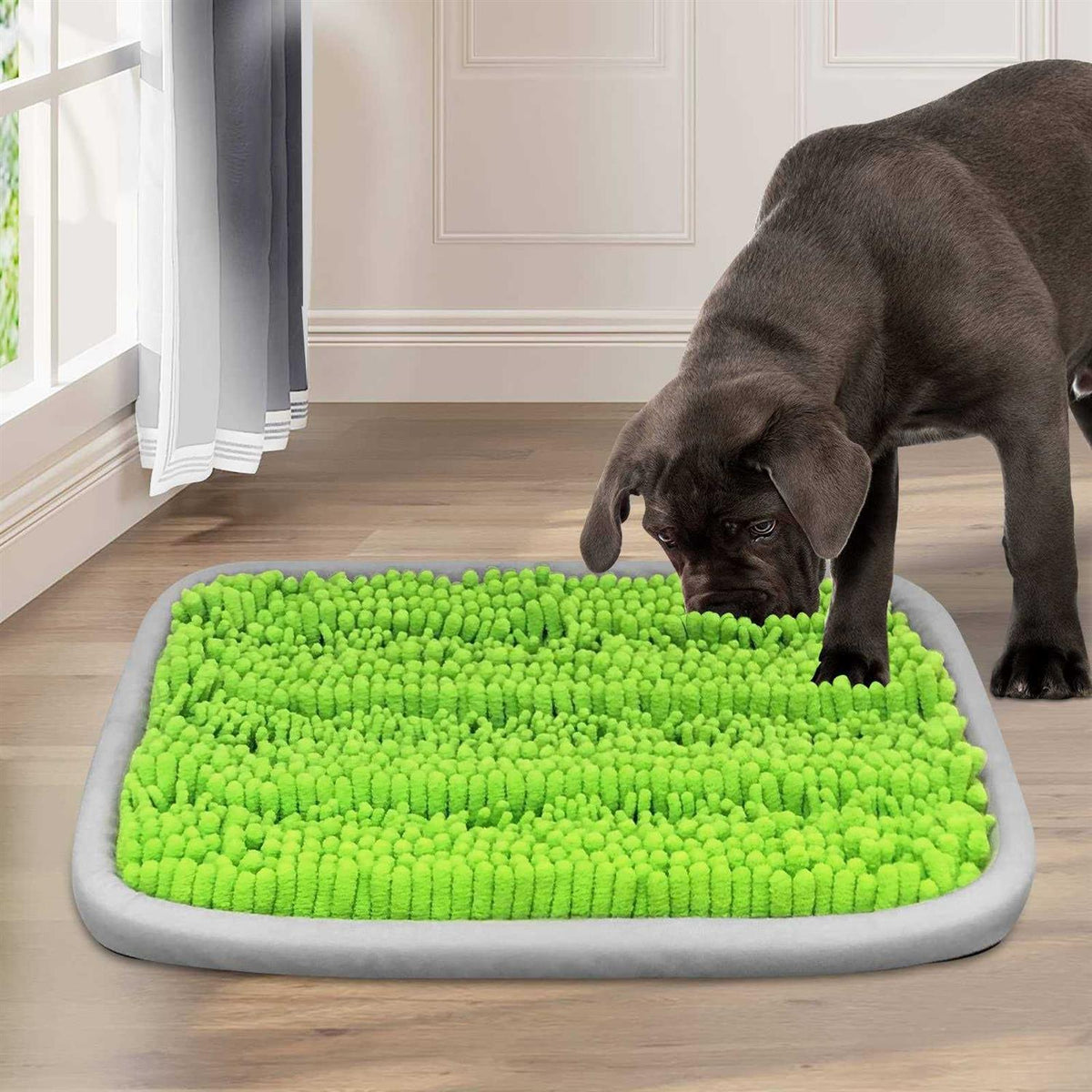 21x16 Inch Snuffle Mat for Dogs W66992