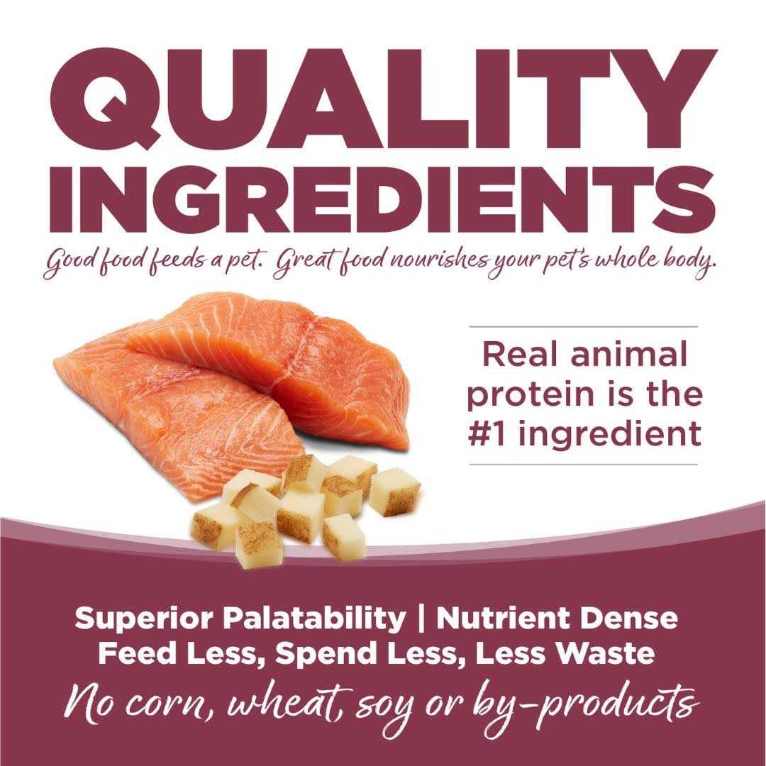 Salmon Potato Dry Dog Food B246054