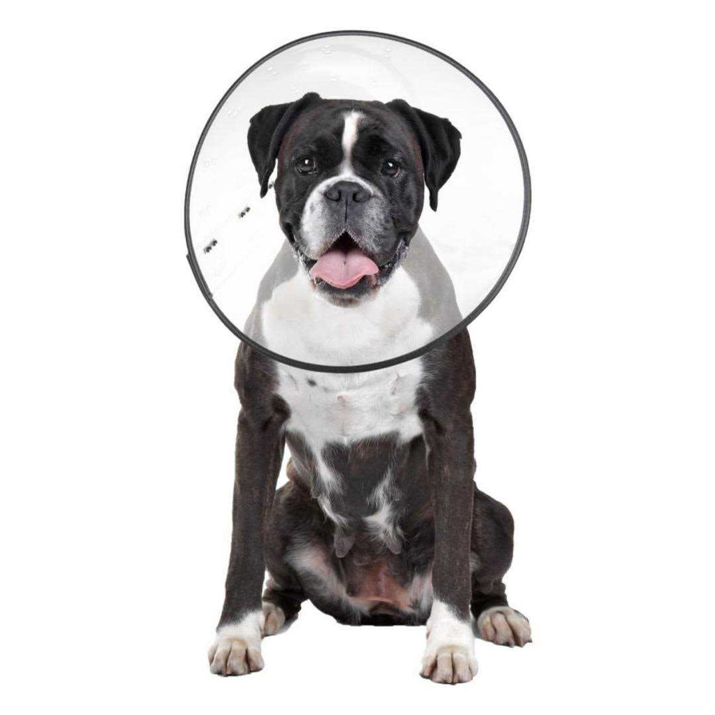 Clear Recovery Collar L606