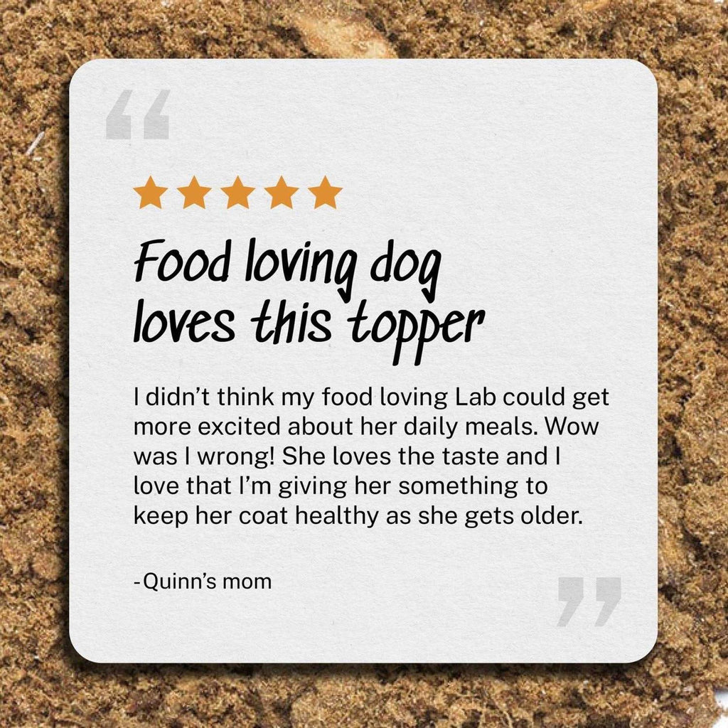 Beef Dog Food U27196