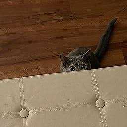 Cat Treats Meaty Tender Sticks Y778721