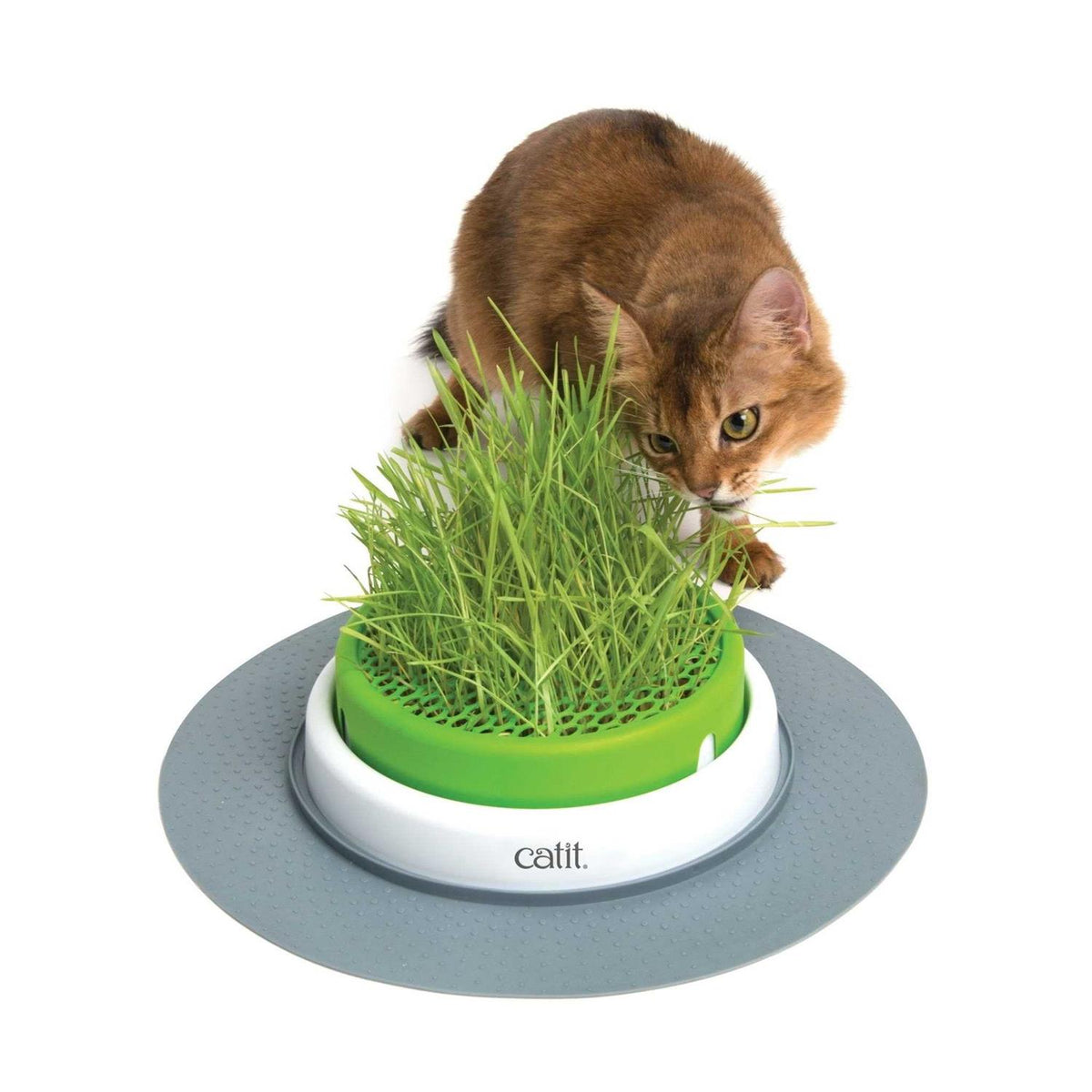 Grass Planter L278285