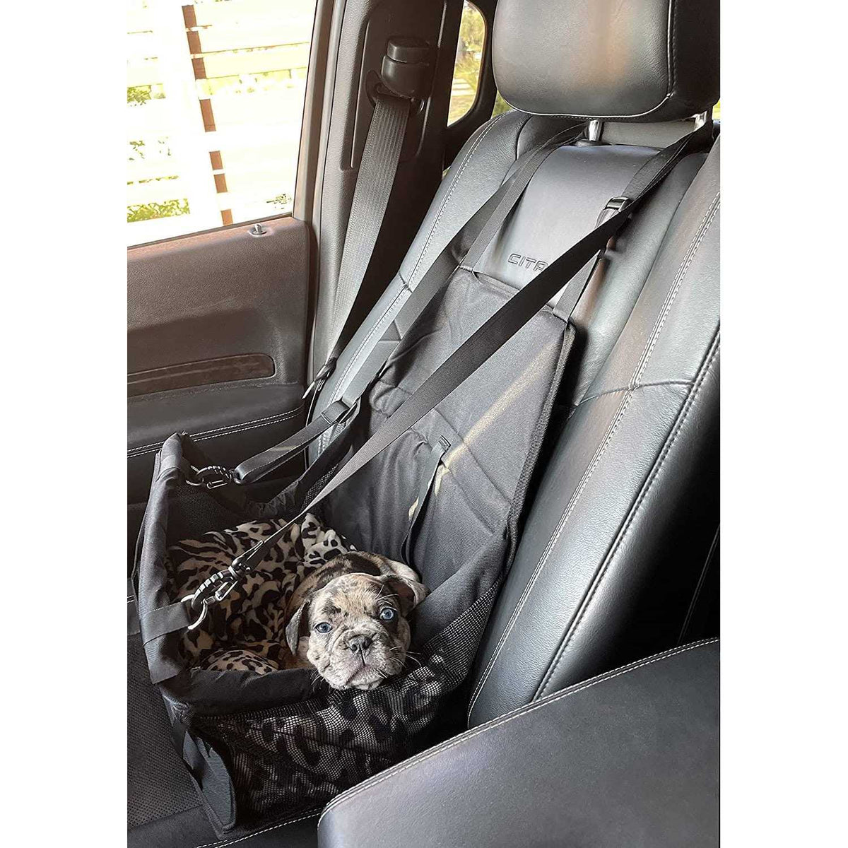 Pet Car Seat E2273
