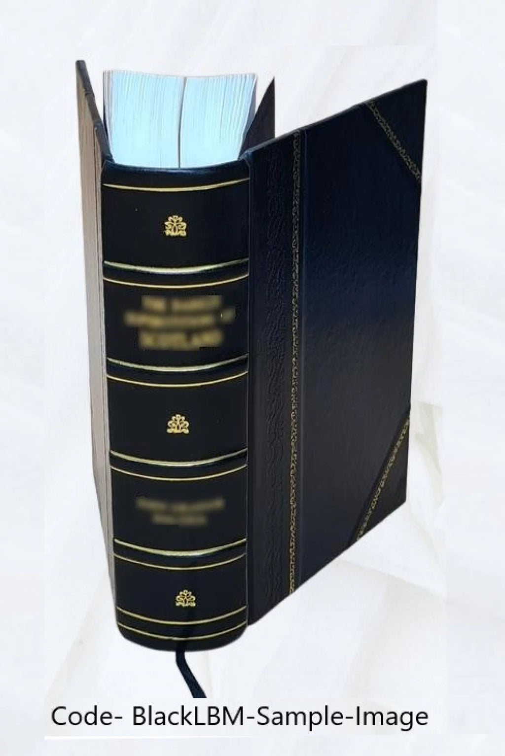 Leather Bound Book W59551