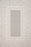 Grey Ivory Rug 7'10 x 10'1 Z681