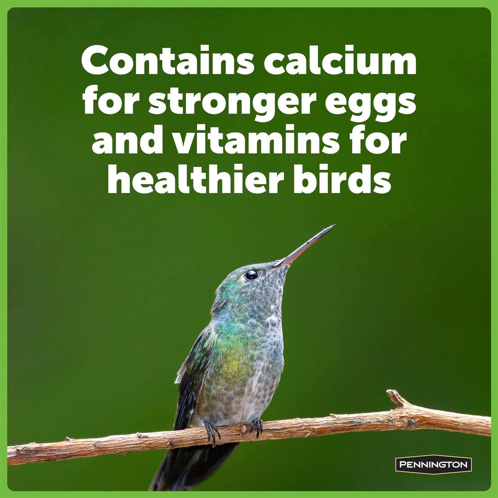 Hummingbird Food No Artificial Dye H45666