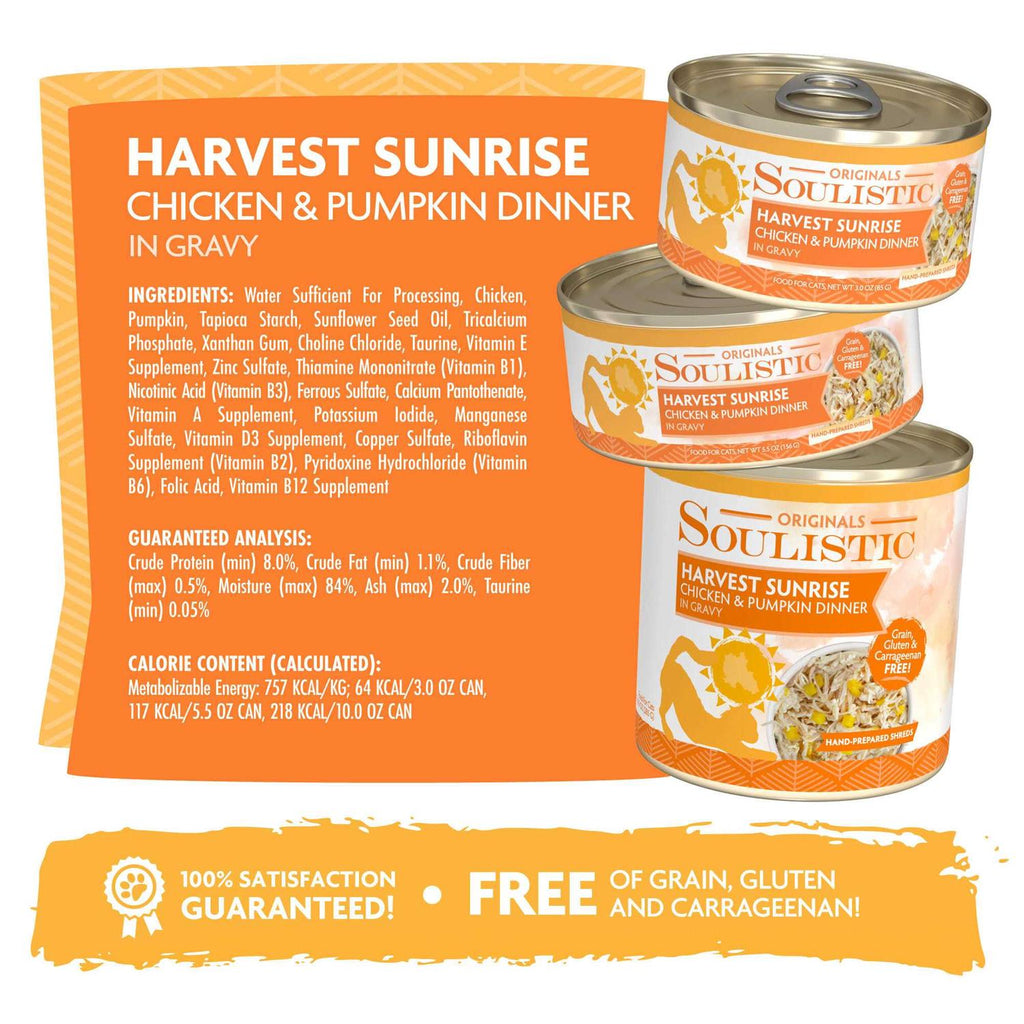 Chicken & Pumpkin Dinner in Gravy Wet Cat Food S821101