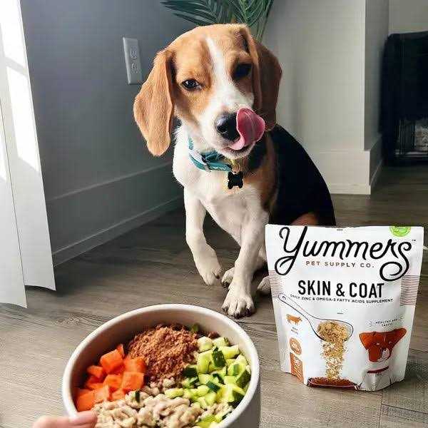 Beef Dog Food U27196