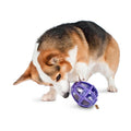 Kibble Nibble Dog Toy E653