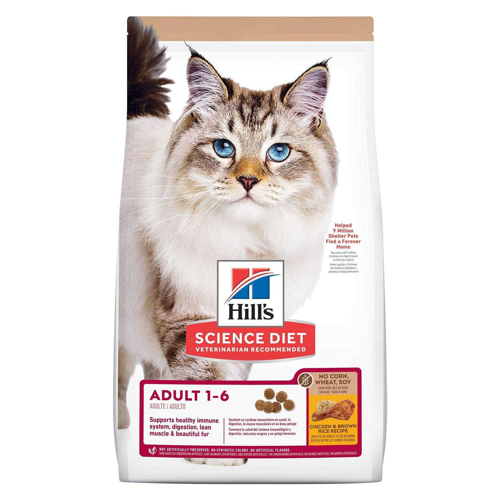 Chicken Dry Cat Food L209252