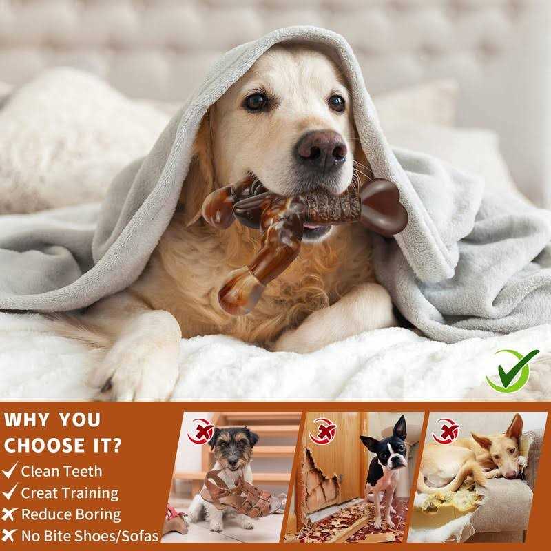 Real Bacon Flavored Tough Dog Bone Chew Toy O854929