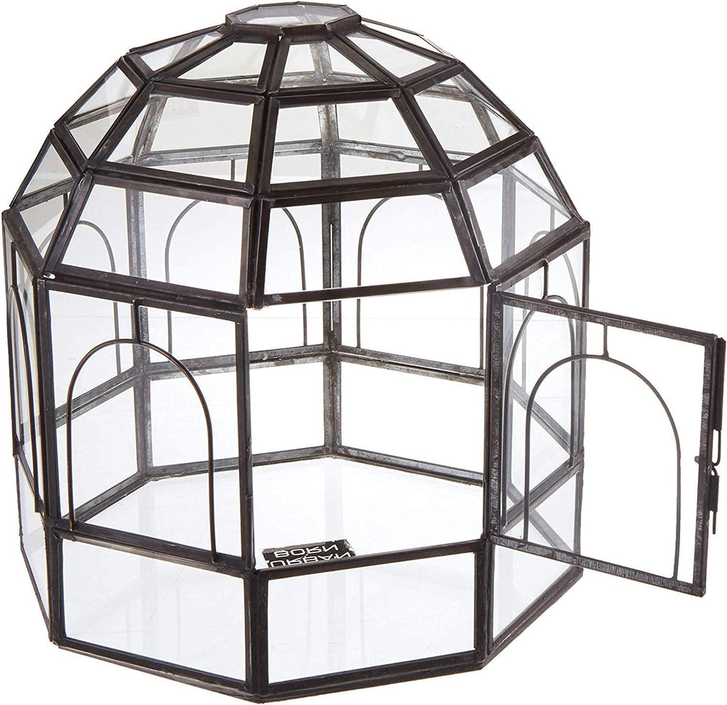 Large Glass Terrarium 10 x 9 x 9 Black P164344