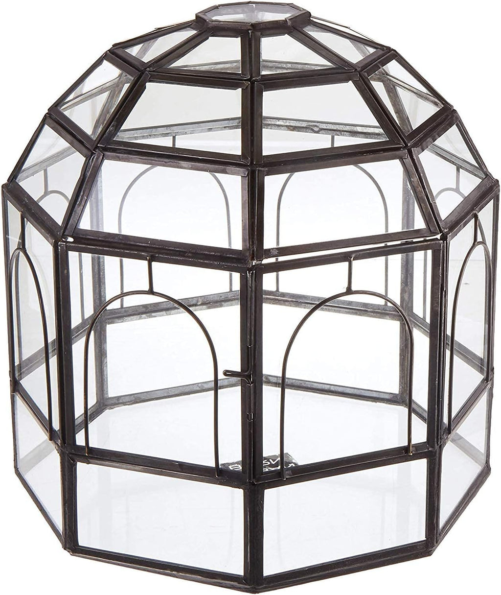 Large Glass Terrarium 10 x 9 x 9 Black P164344