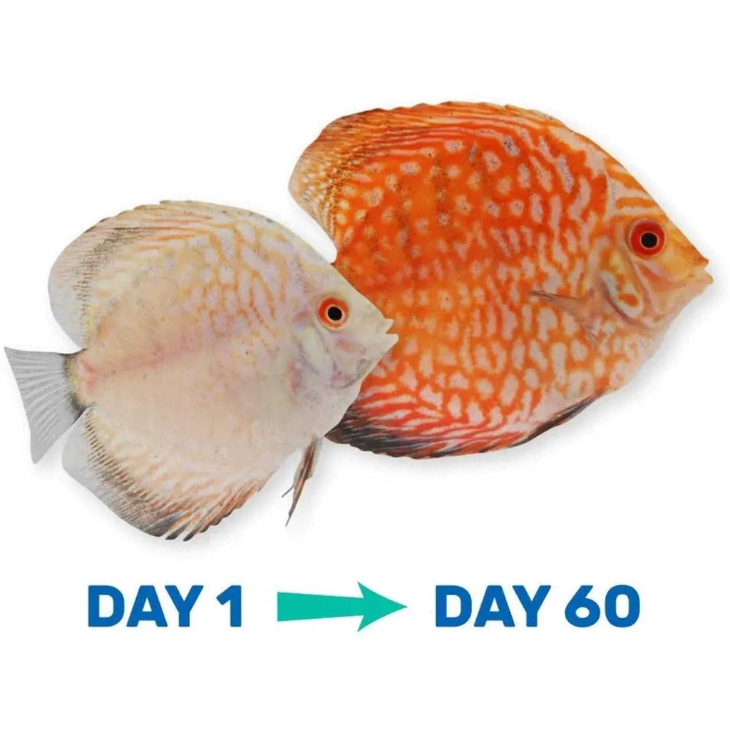 Tropical Fish Food W3387