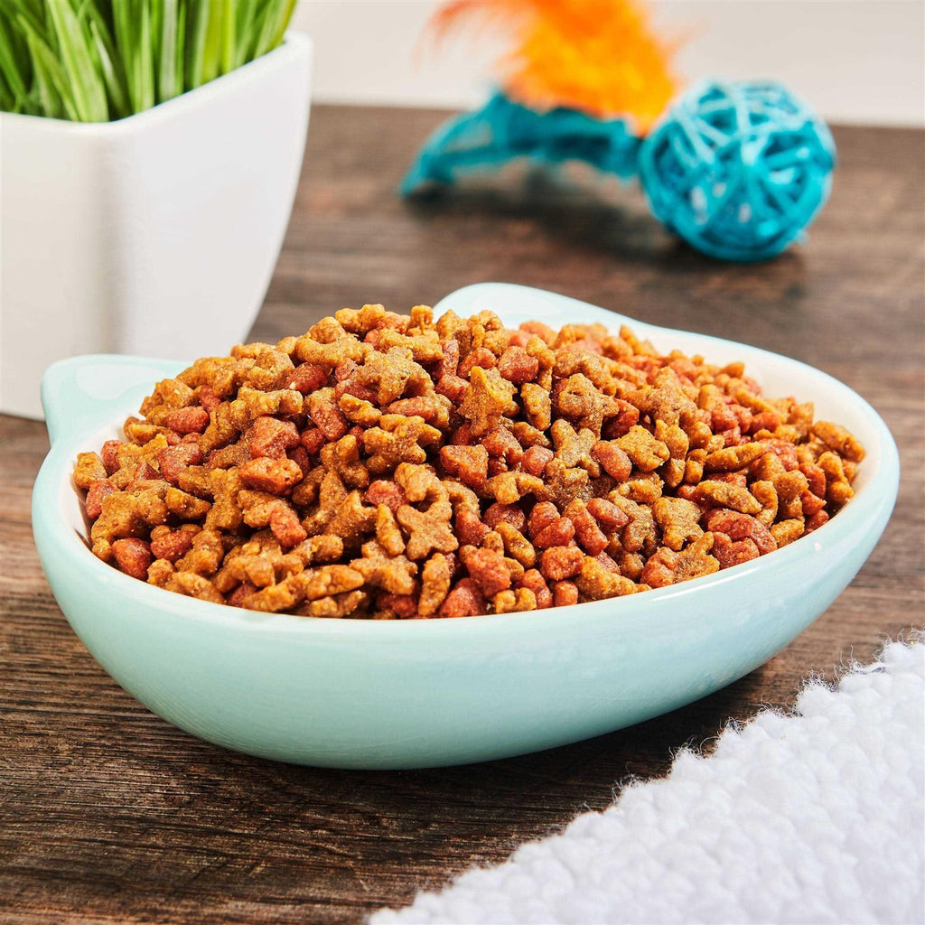 Kitten Formula Dry Cat Food P938