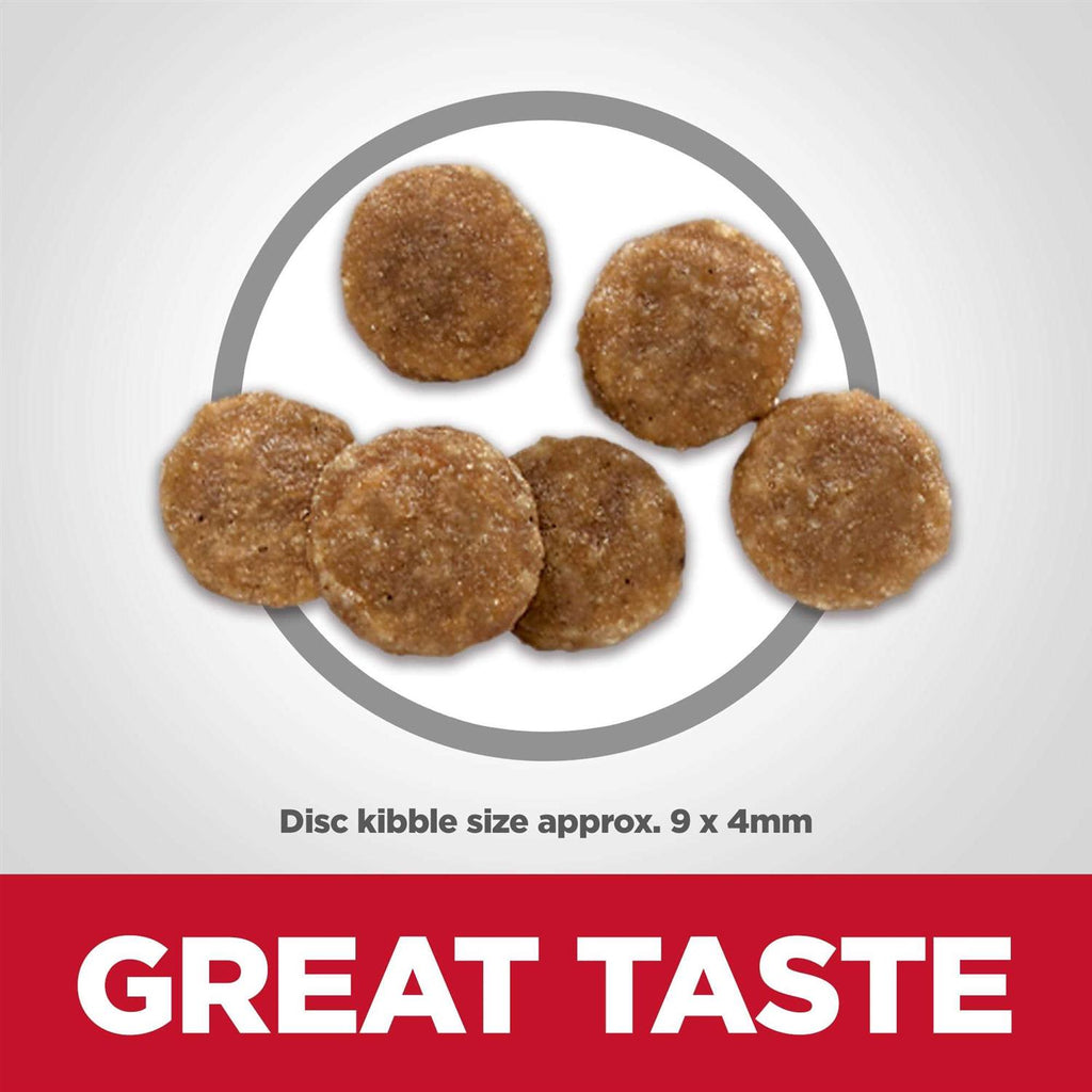 Chicken Dry Cat Food L209252