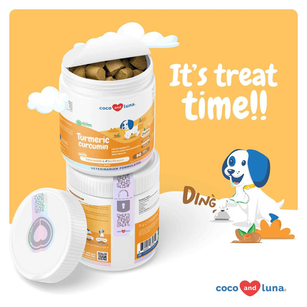 Turmeric for Dogs Z6584