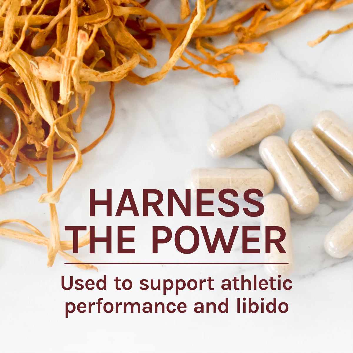 Cordyceps Mushroom Supplement 60 Capsules A90427
