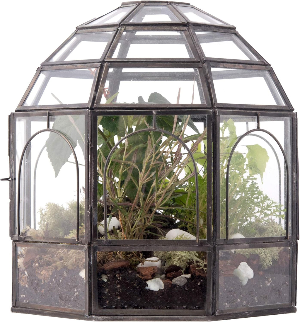 Large Glass Terrarium 10 x 9 x 9 Black P164344