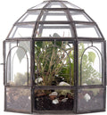 Large Glass Terrarium 10 x 9 x 9 Black P164344