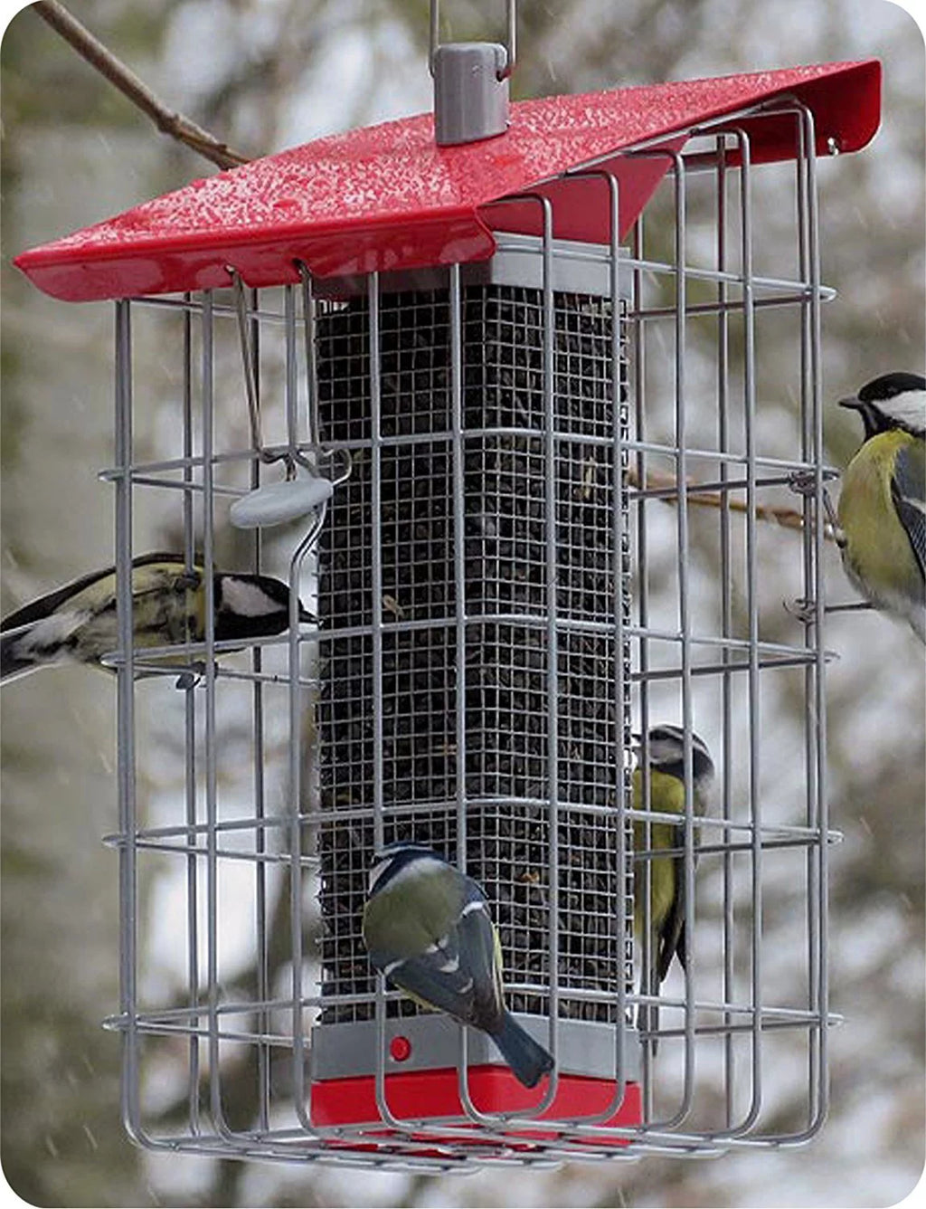 Peanut Sunflower Seed Feeder O99811