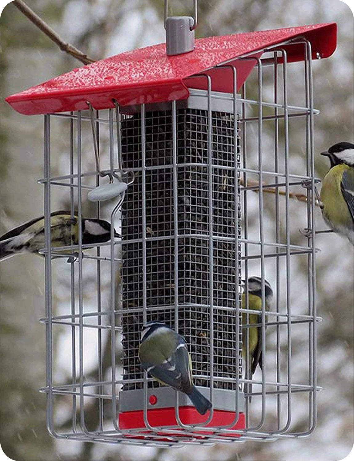 Peanut Sunflower Seed Feeder O99811