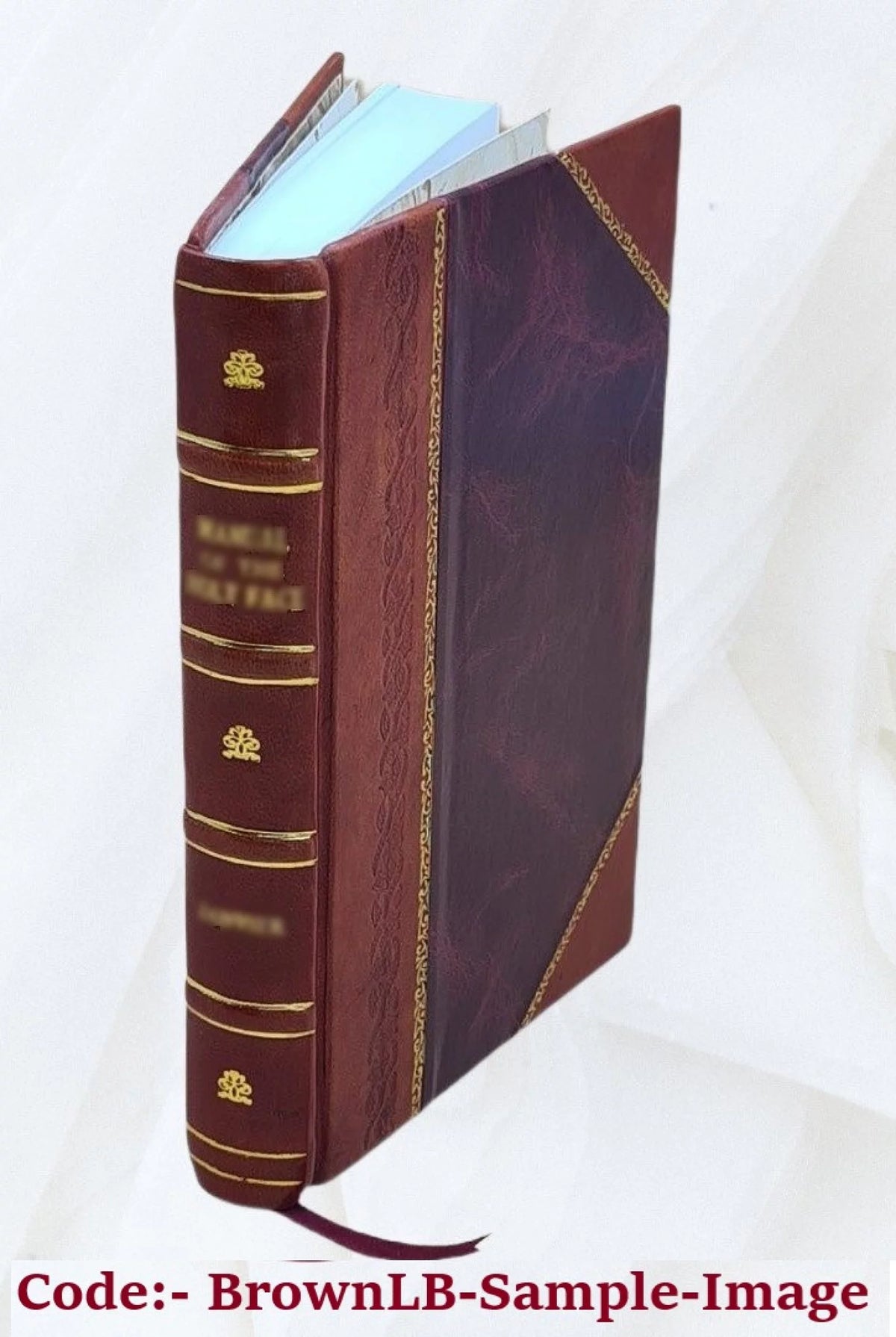 Electric Appliances Law Treatise L6862