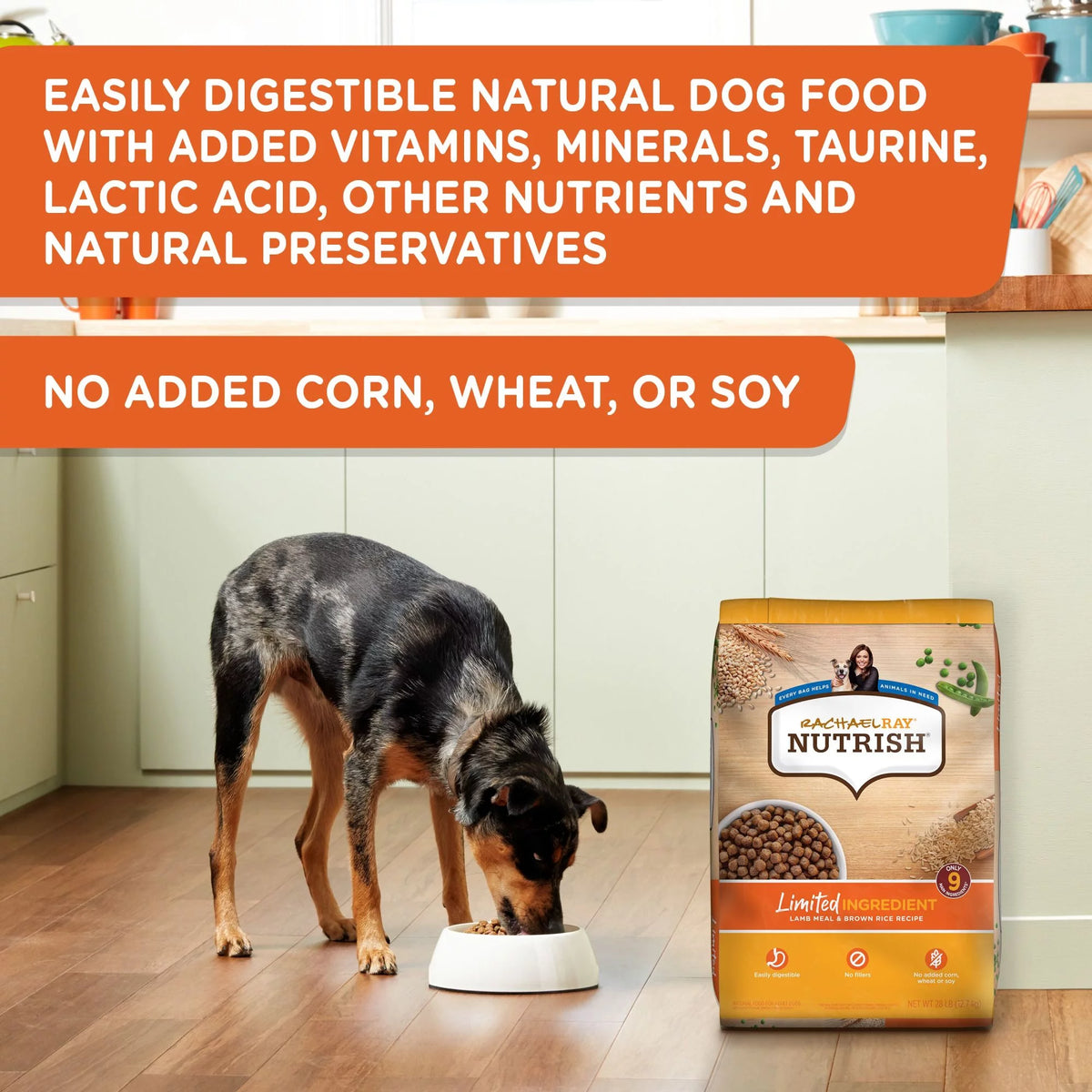 Limited Ingredient Lamb Meal & Brown Rice Dog Food R26899