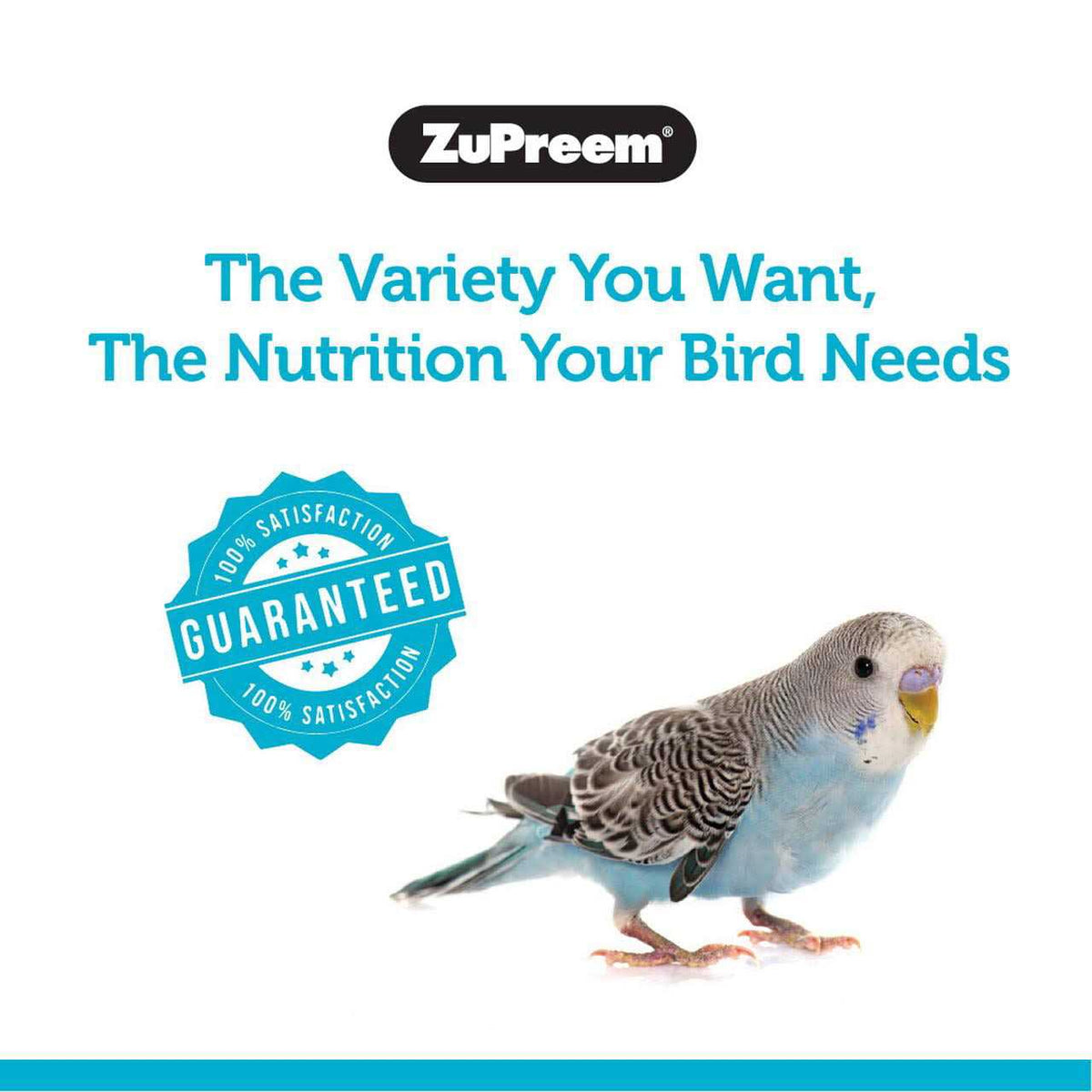 Sensible Seed Bird Food D385916
