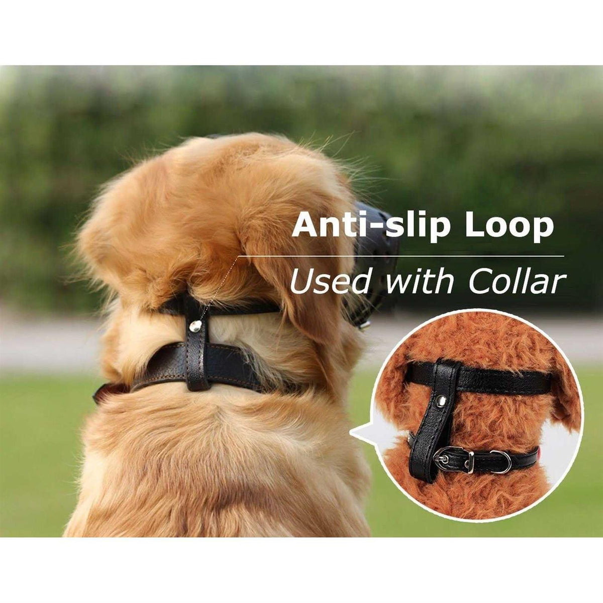 Leather Dog Muzzle F8134